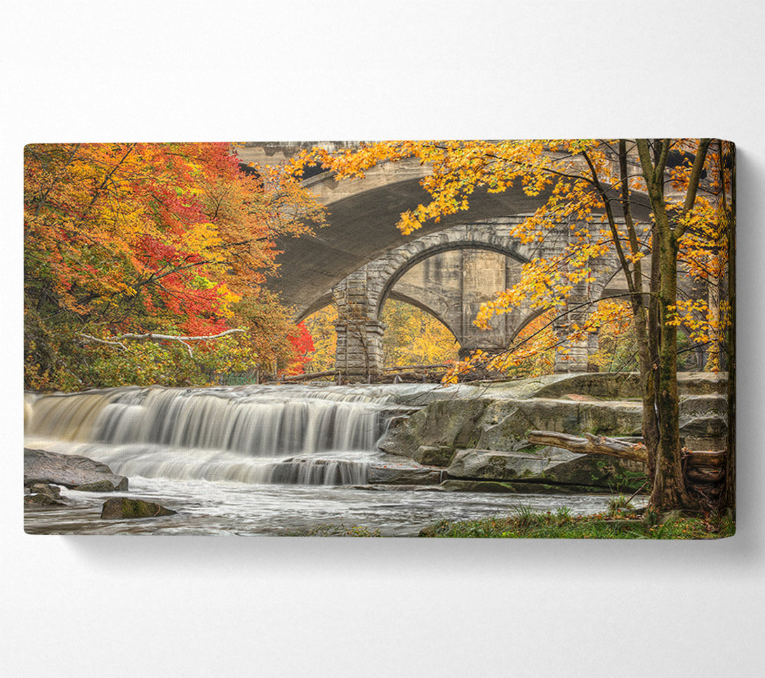  A Canvas Print of Bridge In The Forest Canvas Wall Art