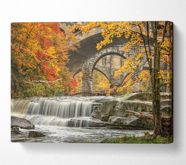  A Canvas Print of Bridge In The Forest Canvas Wall Art