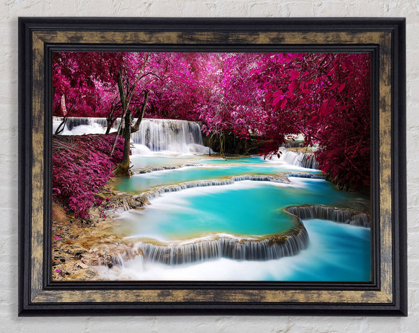Pink Tree Beauty 1 Framed Print