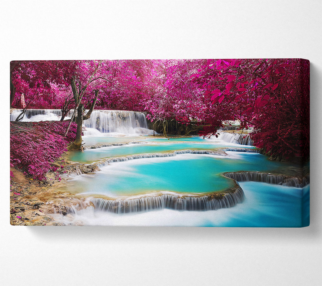  A Canvas Print of Pink Tree Beauty 1 Canvas Art