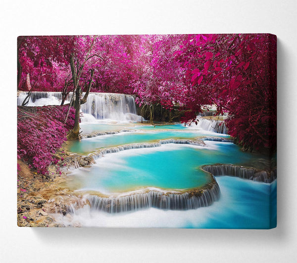  A Canvas Print of Pink Tree Beauty 1 Canvas Art