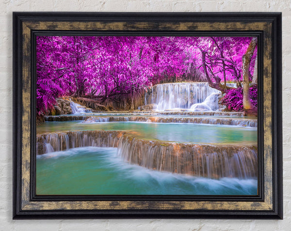 Pink Tree Beauty 2 Framed Print