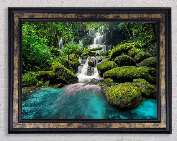 Green Delight Framed Print