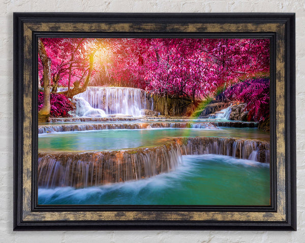 Pink Tree Beauty 3 Framed Print