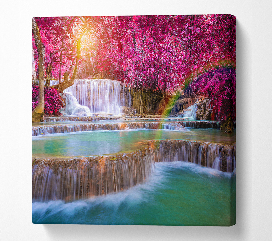  A Canvas Print of Pink Tree Beauty 3 Canvas Wall Art