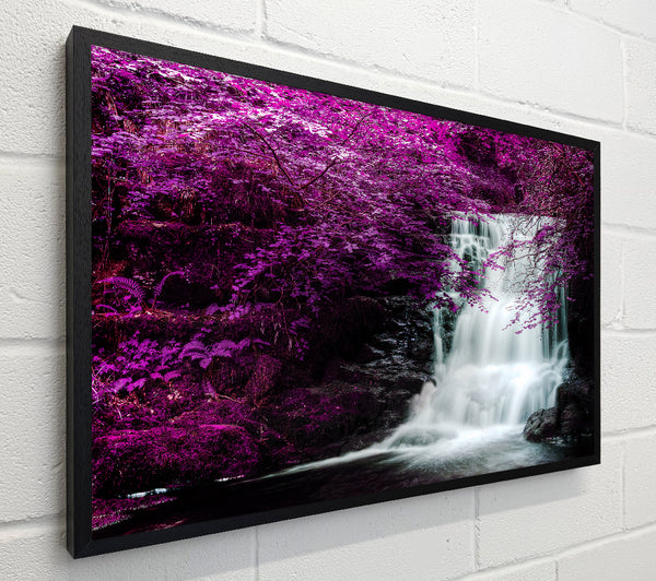 Purple Tree Beauty