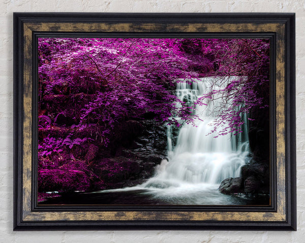 Purple Tree Beauty Framed Print