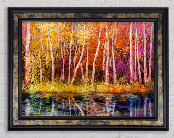 Rainbow Trees Framed Print