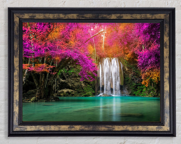 Pink Tree Beauty 4 Framed Print