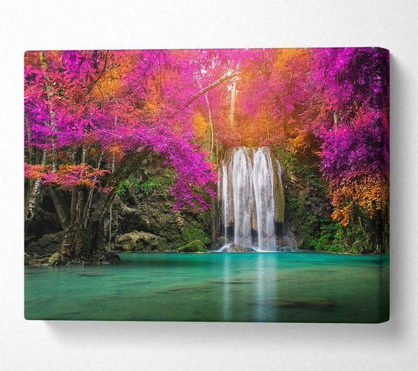  A Canvas Print of Pink Tree Beauty 4 Canvas Print