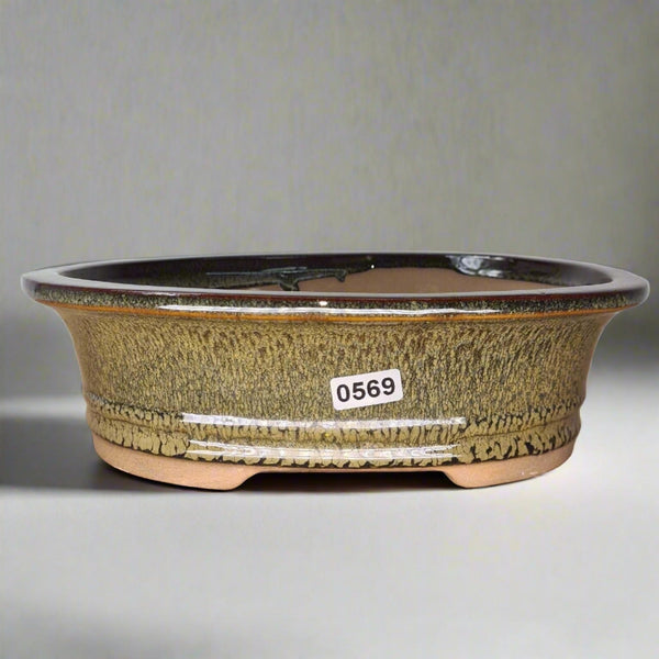 21cm Glazed Bonsai Pot | Oval | 21cm x 17cm x 6cm | Green