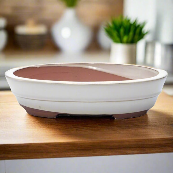 26cm Glazed Bonsai Pot | Oval | 26cm x 20cm x 6cm | White