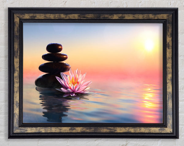 Zen Stones Lilly Framed Print