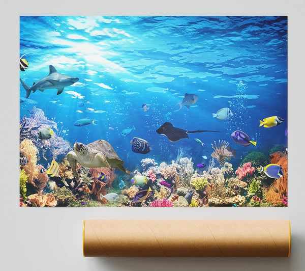 Creatures In The Reef Poster