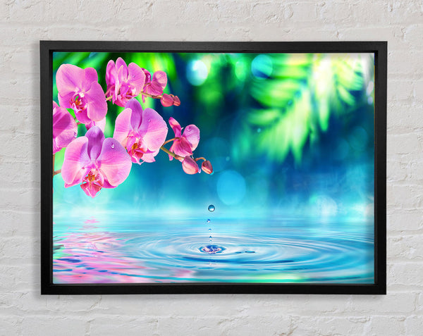 Pink orchid droplet Framed Print
