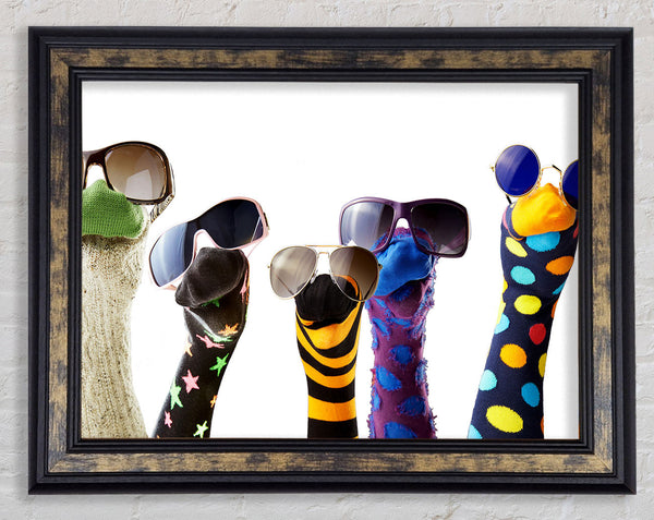 Sock Puppets with shades Framed Print