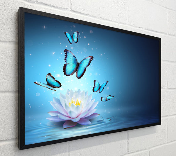 Butterflies above the lilly