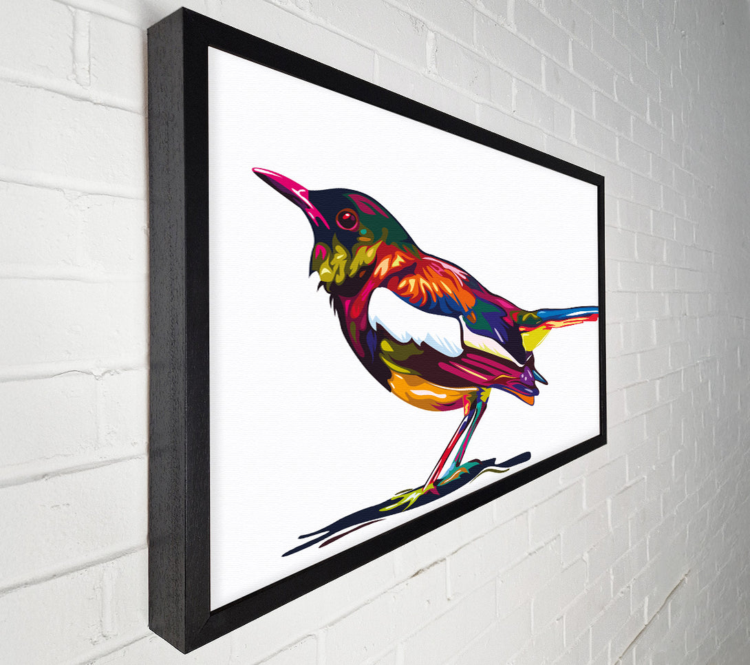  A Canvas Print of Colour splash blackbird Canvas Print