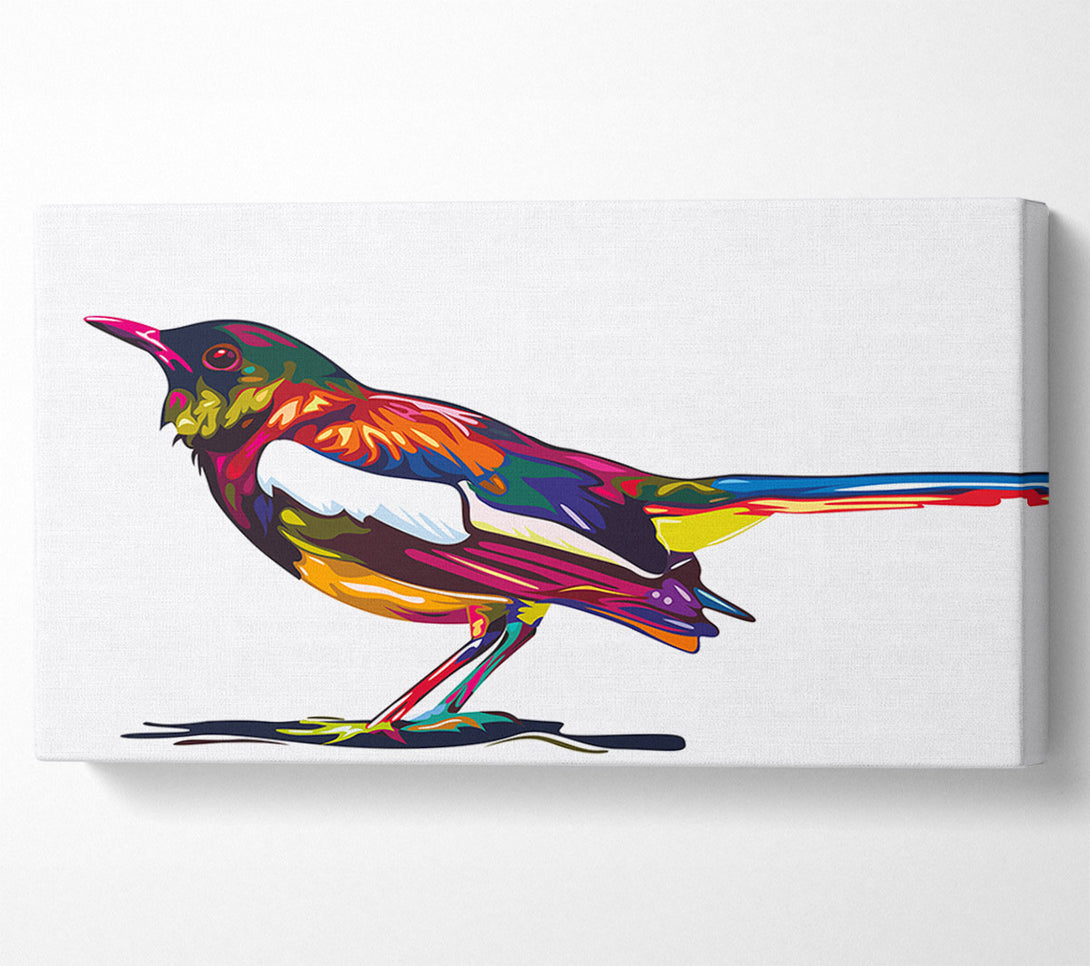  A Canvas Print of Colour splash blackbird Canvas Print