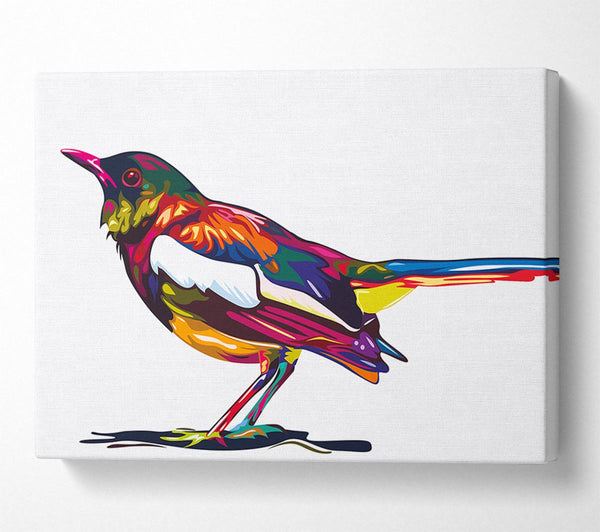  A Canvas Print of Colour splash blackbird Canvas Print