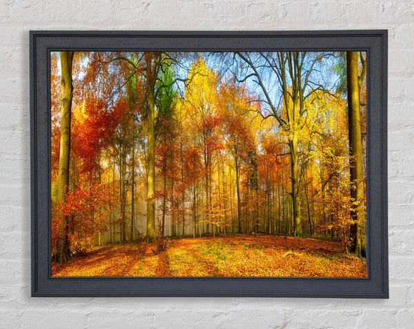 Autumn Forest soft Framed Print