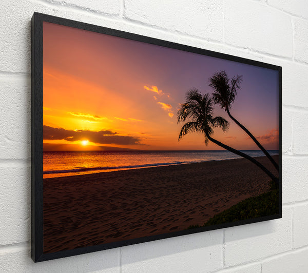 Two palm trees on the beach