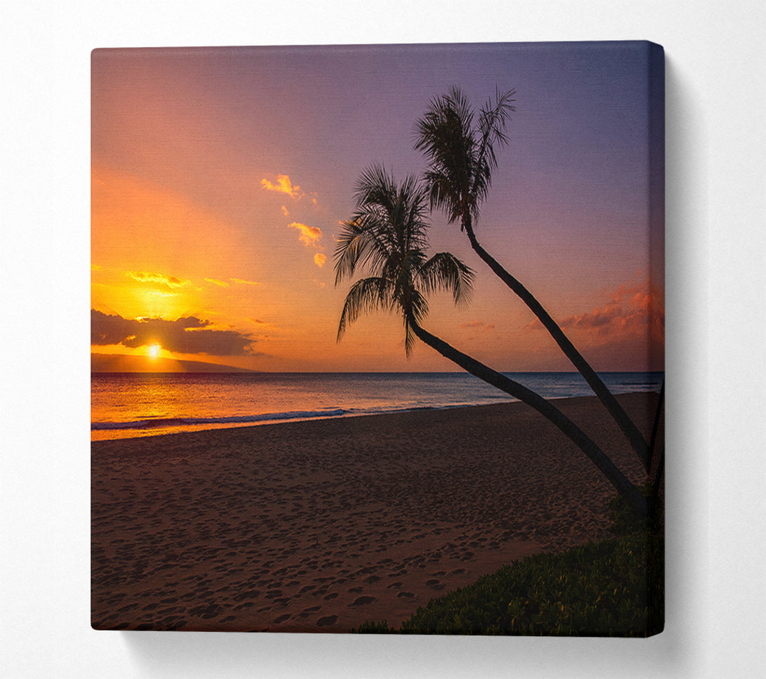  A Canvas Print of Two palm trees on the beach Canvas Print