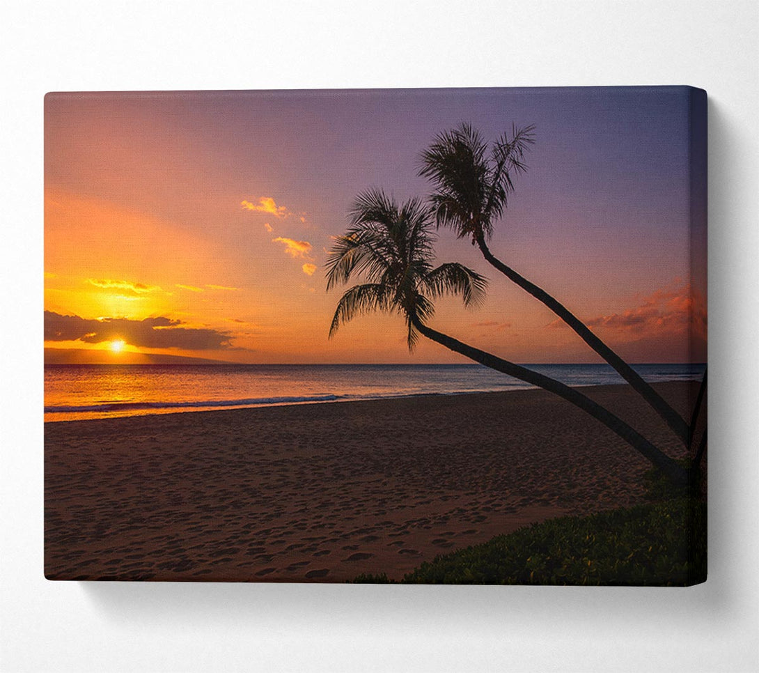  A Canvas Print of Two palm trees on the beach Canvas Print