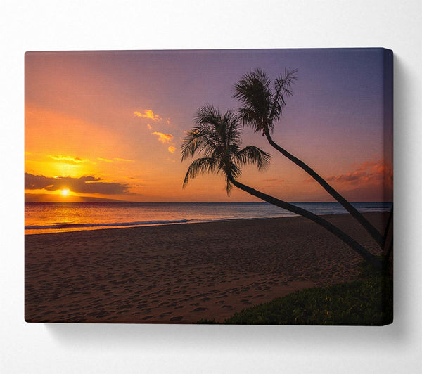  A Canvas Print of Two palm trees on the beach Canvas Print