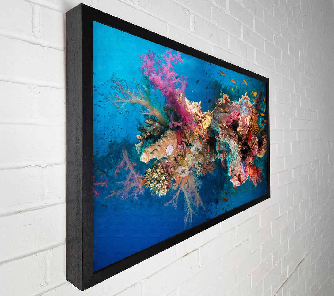  A Canvas Print of Coral reef habitat Canvas Art