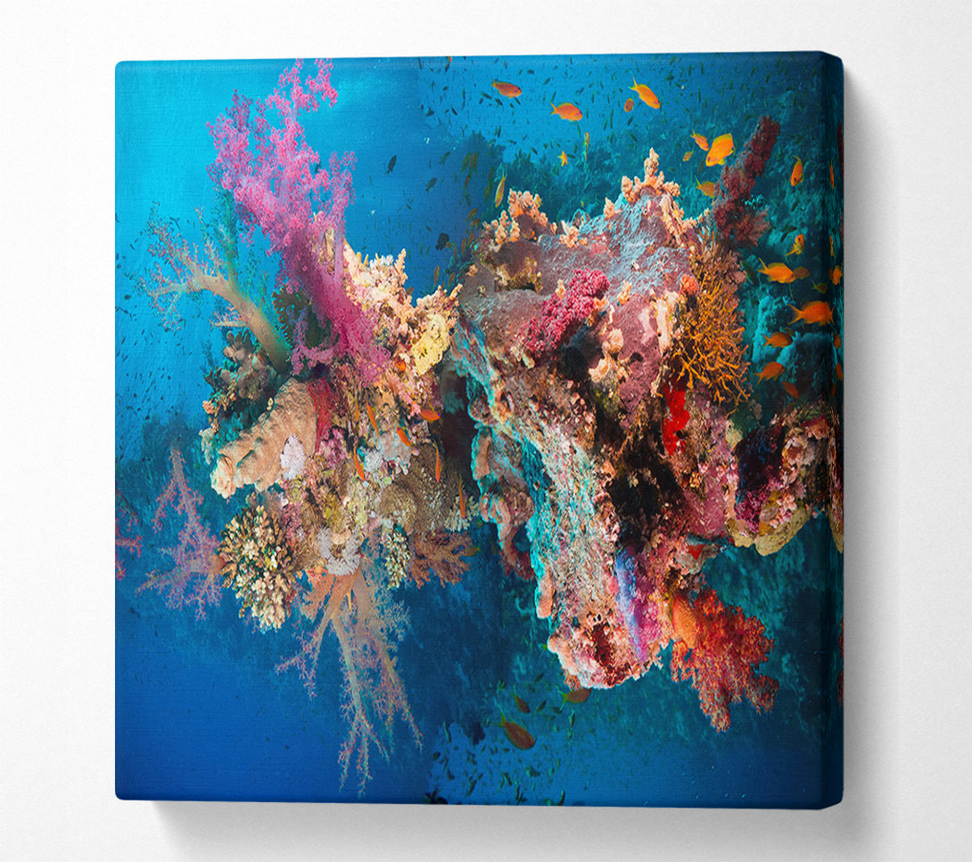  A Canvas Print of Coral reef habitat Canvas Art