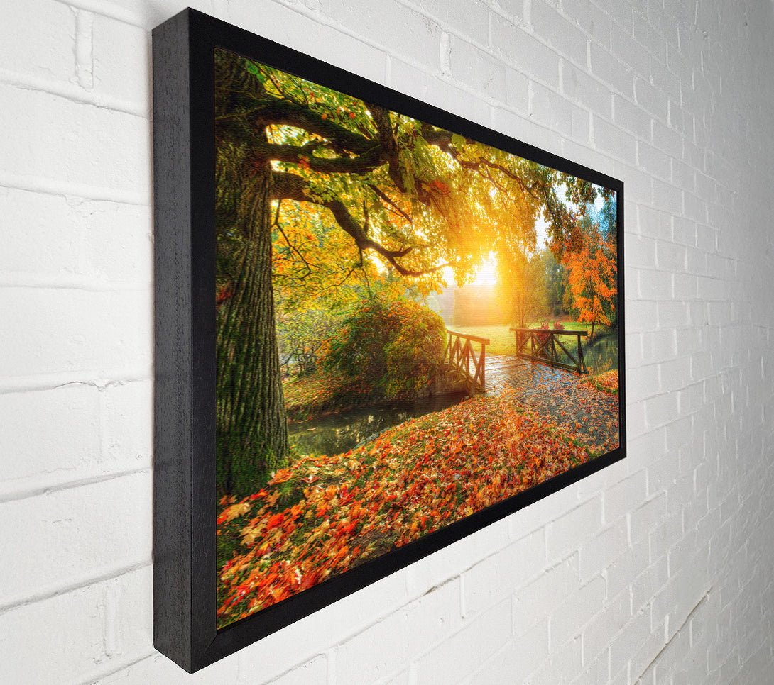  A Canvas Print of Woodland Bridge Autumn tranqulity Canvas Art
