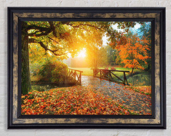 Woodland Bridge Autumn tranqulity Framed Print