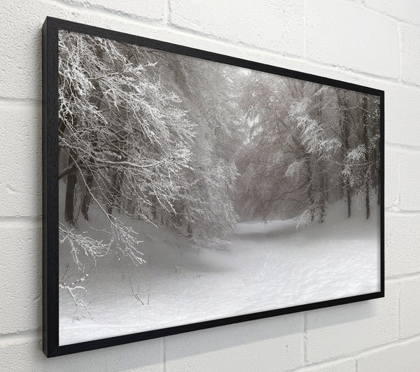 Grey snow forest