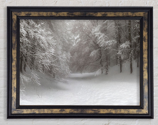Grey snow forest Framed Print