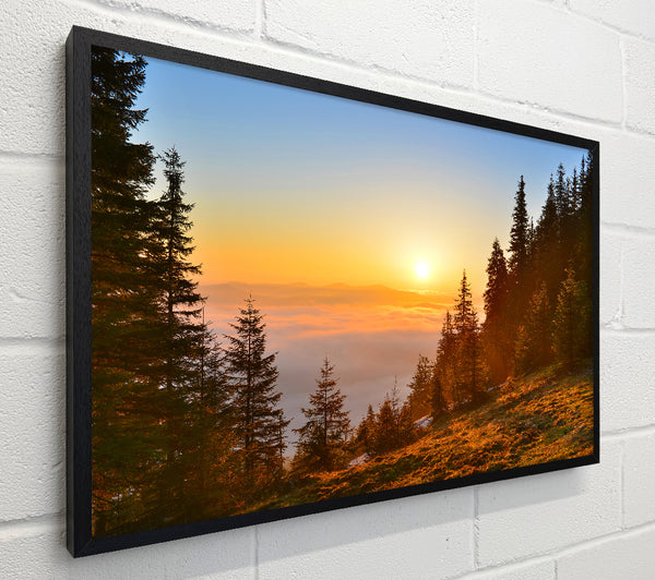 Orange Woodlands in a sunset