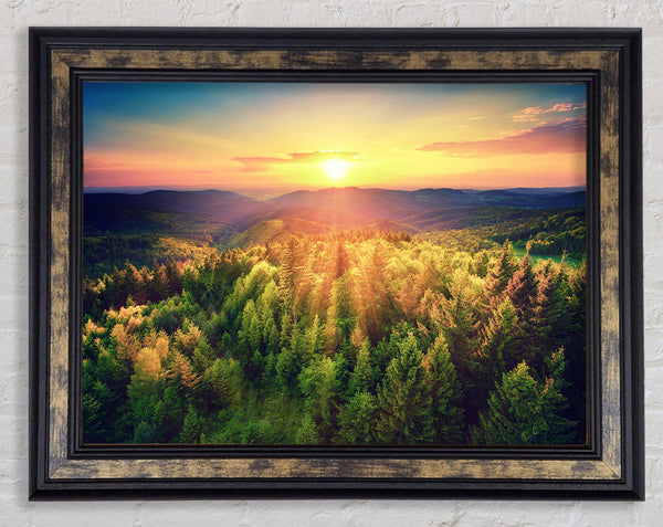 Sunrays over a green woodland Framed Print