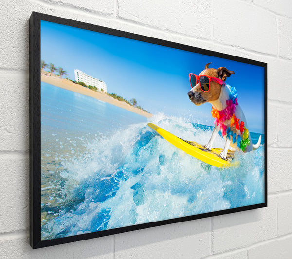 Dog with sunglasses surfing