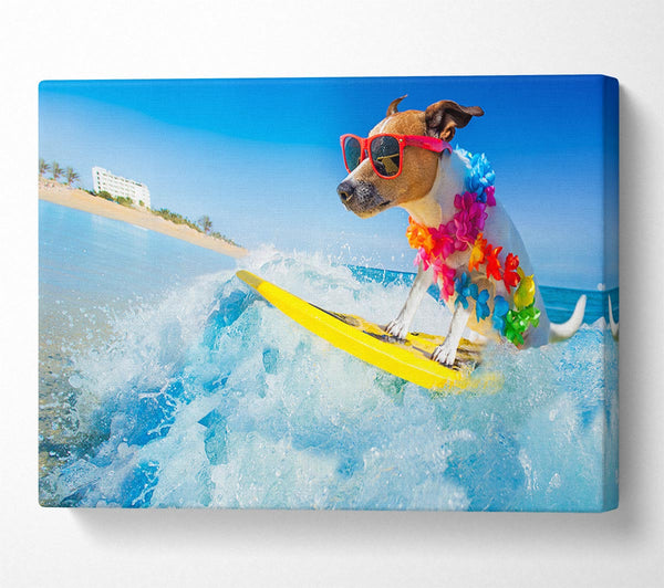 Dog with sunglasses surfing