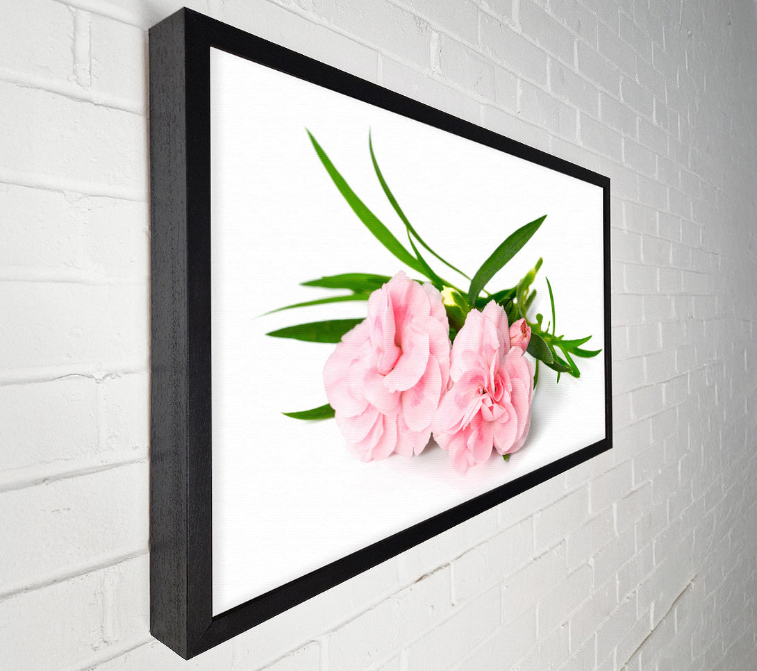  A Canvas Print of Pink flowers laid out Canvas Art