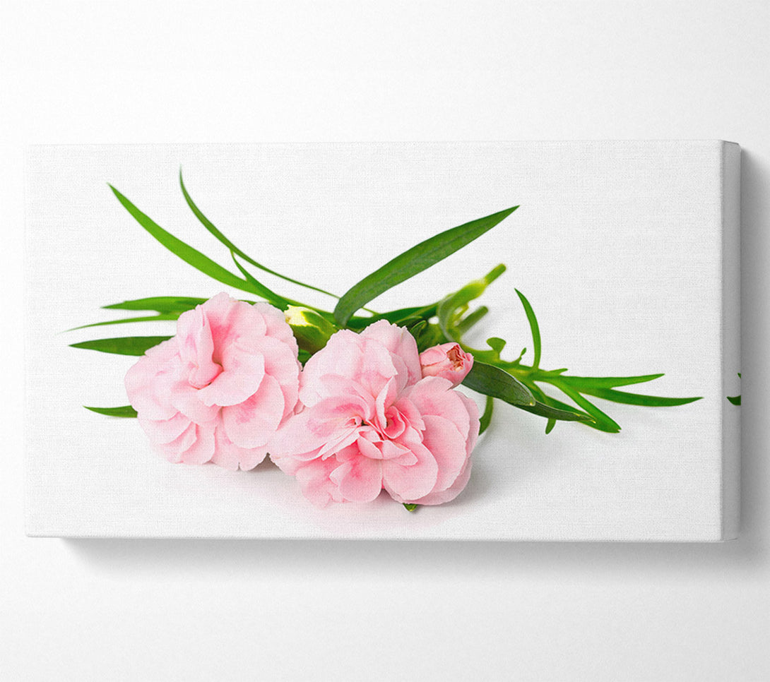  A Canvas Print of Pink flowers laid out Canvas Art