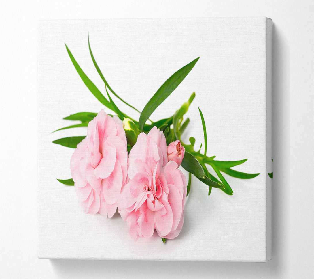  A Canvas Print of Pink flowers laid out Canvas Art