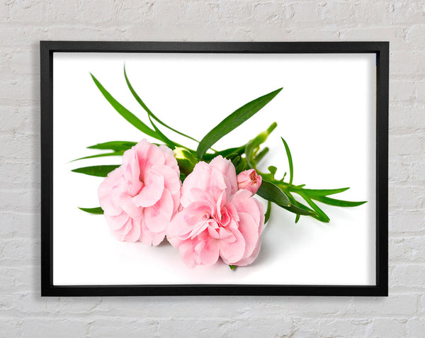 Rosa Blumen ausgelegt