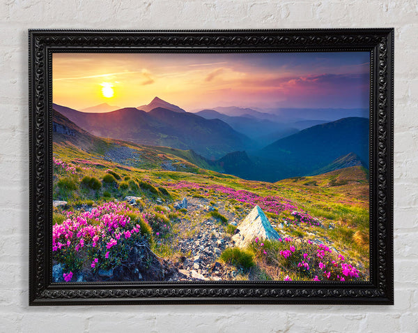 Beautiful mountain range and flowers Framed Print