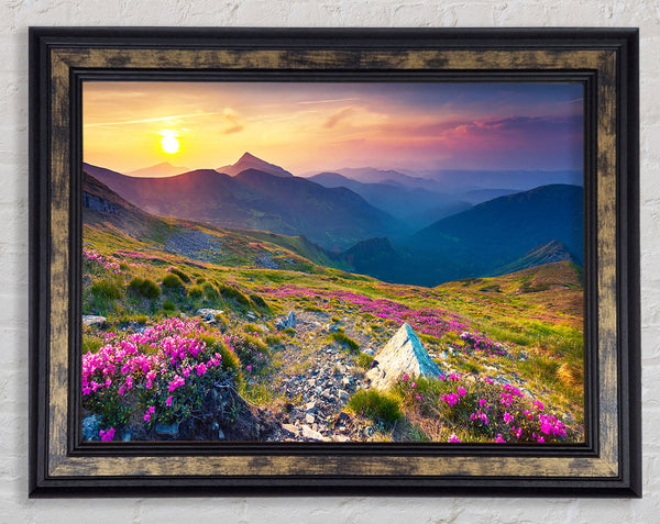 Beautiful mountain range and flowers Framed Print