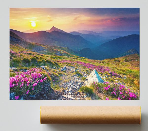 Beautiful Mountain Range And Flowers Poster