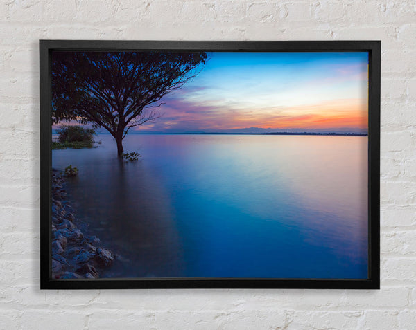Tree in the river Framed Print