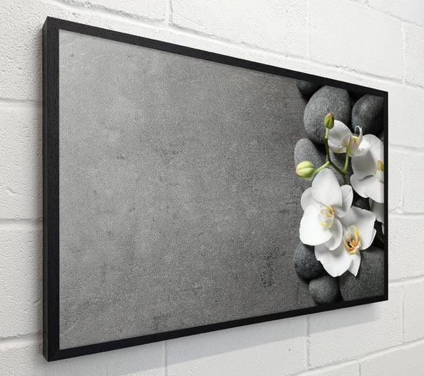 White Orchid on grey pebbles