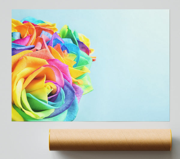 Rose Colour Rainbow Print
