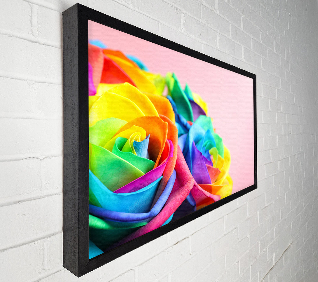  A Canvas Print of Rainbow closeup rose Canvas Wall Art